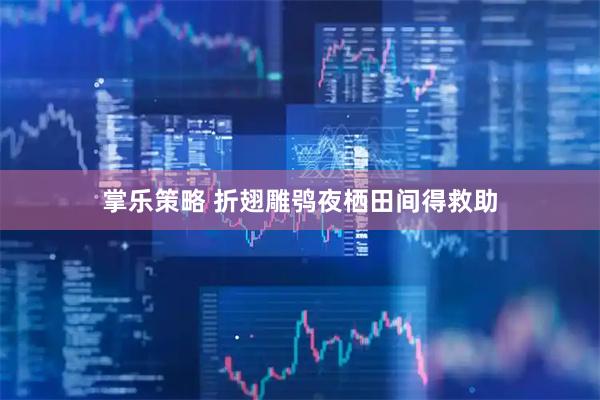 掌乐策略 折翅雕鸮夜栖田间得救助