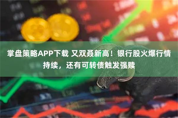 掌盘策略APP下载 又双叒新高！银行股火爆行情持续，还有可转债触发强赎