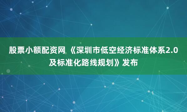 股票小额配资网 《深圳市低空经济标准体系2.0及标准化路线规划》发布